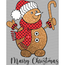 Christmas-ADJ 12121